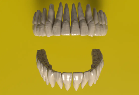 Realistic 3D Teeth Set
