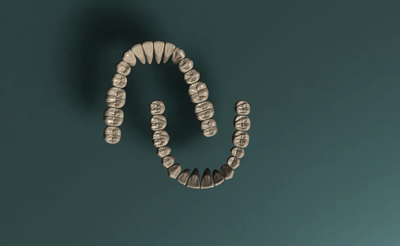 Realistic 3D Teeth Set